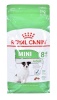 Royal Canin kuivtoit koerale Mini Adult 8+ 2kg Maize