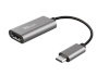 Trust Dalyx USB graphics adapter hall