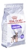 Royal Canin kuivtoit koerale MINI Sterilised Adult 3kg