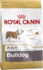 Royal Canin kuivtoit koerale Bulldog Adult Poultry,Rice 12kg