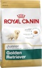 Royal Canin kuivtoit koerale Golden Retriever Junior Puppy Poultry 12kg