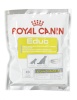 Royal Canin kuivtoit koerale Educ 50g