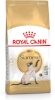 Royal Canin kuivtoit kassile Siamese Cats Dry Food Adult Poultry 2kg