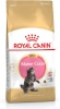 Royal Canin kuivtoit kassile Maine Coon Kitten Cats Dry Food Poultry,Rice 4kg