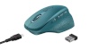 Mouse USB Optical Wireless/ozaa sinine 24034 Trust