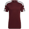 Adidas Teamwear T-särk meestele Squadra 21 Jersey Short Sleeve karmiinpunane GN8091 , suurus 2XL