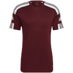 Adidas Teamwear T-särk meestele Squadra 21 Jersey Short Sleeve karmiinpunane GN8091 , suurus 2XL