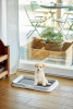 Zolux lemmiklooma pissikast 81990 Dog/Cat Litter Box Open, must/hall