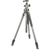 Vanguard statiiv Alta Pro 2+ 263AB100