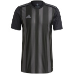 Adidas Teamwear T-särk meestele Striped 21 Jersey must GN7625 , suurus S