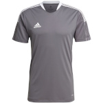 Adidas Teamwear T-särk meestele Tiro 21 Training Jersey hall GM7587 , suurus S