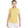 Nike Football T-särk lastele NK Df Academy21 Top SS kollane CW6103 700 , suurus XS