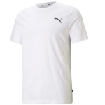 Puma T-särk meestele Ess Small Logo Tee valge 586668 52 , suurus S