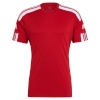 Adidas Teamwear T-särk meestele Squadra 21 Jersey Short Sleeve punane GN5722 , suurus S