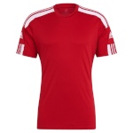 Adidas Teamwear T-särk meestele Squadra 21 Jersey Short Sleeve punane GN5722 , suurus S