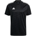 Adidas Teamwear T-särk meestele Condivo 21 Jersey must GJ6790 , suurus XL