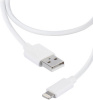 Vivanco kaabel Lightning - USB 1,2m (36299)