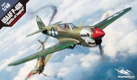 Academy liimitav mudel USAAF P-40N Battle of Imphal 1/48