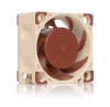 Noctua jahutus NF-A4x20 FLX 40x40x20 Beige, Brown