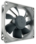 Noctua NF-R8 redux-1800 Computer case Fan 8 cm must, hall