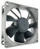 Noctua NF-R8 redux-1800 PWM Computer case Fan 8 cm must, hall