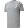 Puma T-särk meestele Neymar Junior Evostripe Tee Medium hall 605604 05 , suurus M