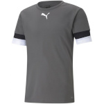 Puma T-särk meestele Teamrise Smoked hall 704932 13 , suurus S