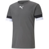 Puma T-särk meestele Teamrise Smoked hall 704932 13 , suurus M