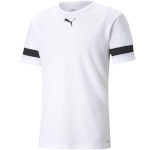 Puma T-särk meestele Teamrise Jersey valge 704932 04 , suurus S