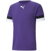 Puma T-särk meestele Teamrise Jersey violetne 704932 10 , suurus M