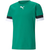 Puma T-särk meestele Teamrise Jersey roheline 704932 05 , suurus S