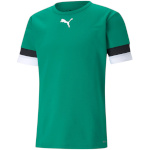 Puma T-särk meestele Teamrise Jersey roheline 704932 05 , suurus S