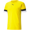 Puma T-särk meestele Teamrise Jersey kollane 704932 07 , suurus S