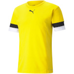 Puma T-särk meestele Teamrise Jersey kollane 704932 07 , suurus M