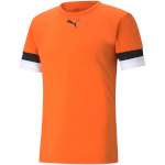 Puma T-särk meestele Teamrise Jersey oranž 704932 08 , suurus M