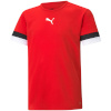 Puma T-särk lastele Teamrise Jersey Junior punane 704938 01 116