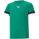 Puma T-särk lastele Teamrise Jersey Junior roheline 704938 05 164