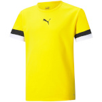 Puma T-särk lastele Teamrise Jersey Junior kollane 704938 07 116