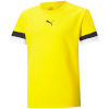 Puma T-särk lastele Teamrise Jersey Junior kollane 704938 07 128