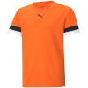 Puma T-särk lastele Teamrise Jersey Junior oranž 704938 08 116