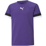 Puma T-särk lastele Teamrise Jersey Junior violetne 704938 10 116