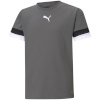 Puma T-särk lastele Teamrise Jersey Junior hall 704938 13 116