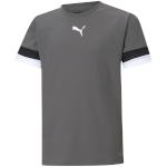 Puma T-särk lastele Teamrise Jersey Junior hall 704938 13 128