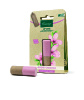 Kneipp huulepalsam Lip Care Almond Candelilla 4,7g, naistele