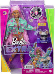 Mattel mängunukk Barbie Extra Doll Rainbow Braids