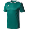 Adidas Teamwear T-särk lastele Entrada 18 Jersey Junior roheline CD8358/CE9563 128cm