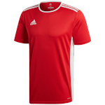 Adidas Teamwear T-särk lastele Entrada 18 Jersey Junior punane CF1038/CF1050 116cm