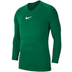 Nike Team T-särk meestele Dry Park First Layer Jersey LS roheline AV2609 302 , suurus S