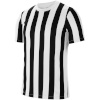 Nike Team T-särk meestele Striped Division IV Jersey SS must-valge CW3813 100 , suurus L