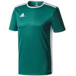 Adidas Teamwear T-särk lastele Entrada 18 Jersey Junior roheline CD8358/CE9563 116cm